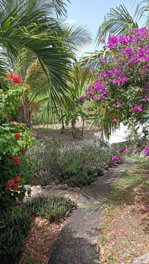 T2 Jardin Clos Les Nids De La Colline Saint-Francois  Εξωτερικό φωτογραφία